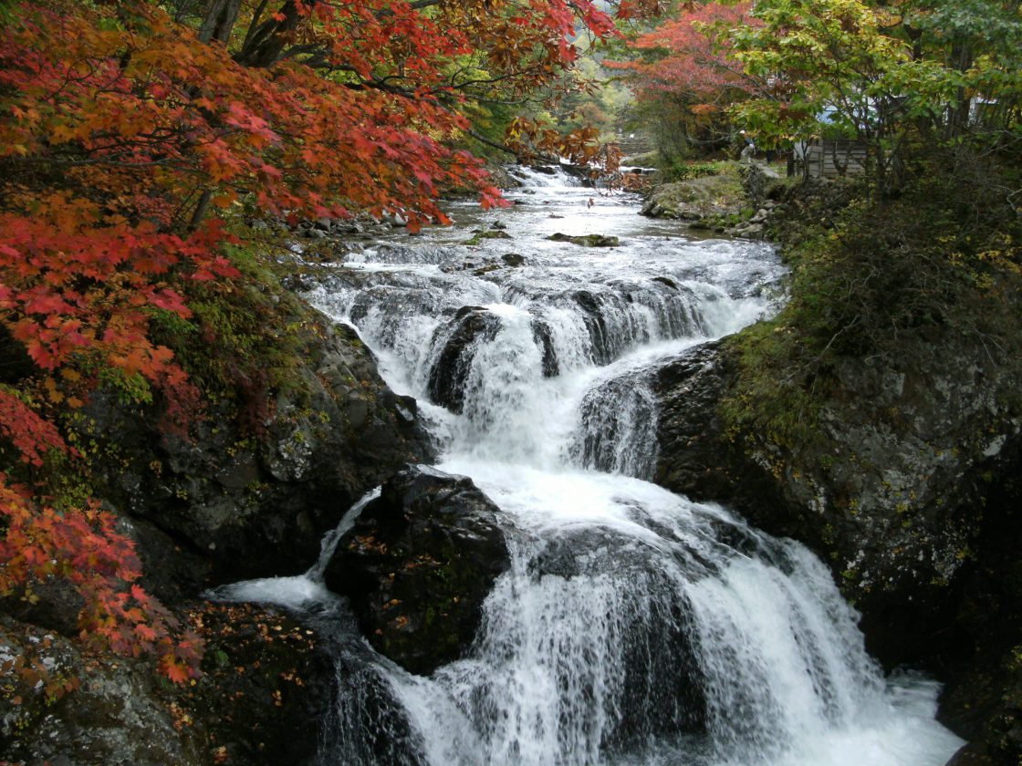 Sangaitaki Falls Park ｜ TOYA Colors